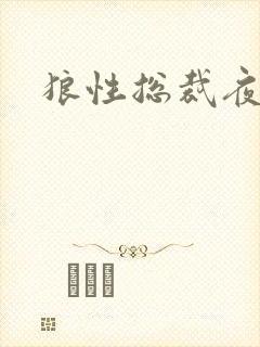 狼性总裁夜欢宠