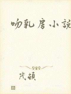 吻乳房小说