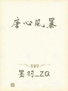 唐心风暴