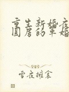 重生新婚夜正在圆房的军婚
