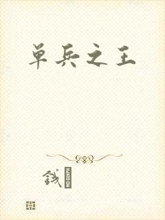 单兵之王