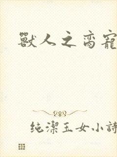 兽人之脔宠封面