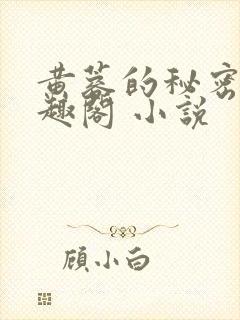 黄蓉的秘密 笔趣阁 小说