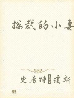 总裁的小妻子封面