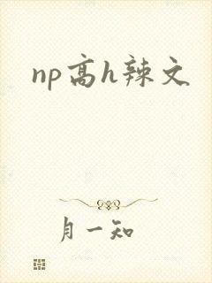 np高h辣文