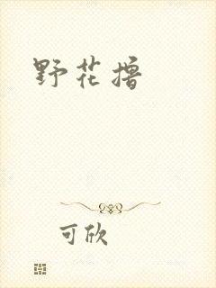 野花撸封面
