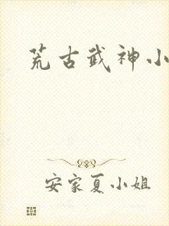 荒古武神小说