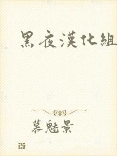 黑夜汉化组