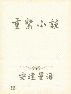 重紫小说