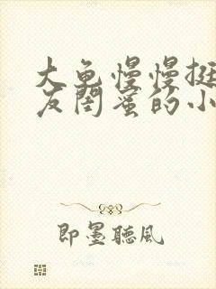 大龟慢慢挺进女友闺蜜的小说