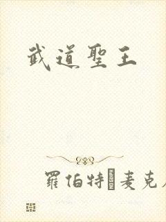 武道圣王封面