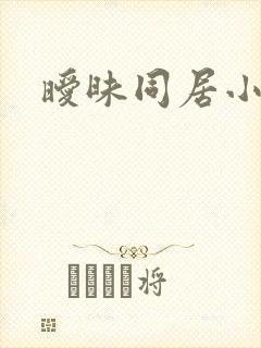 暧昧同居小说封面