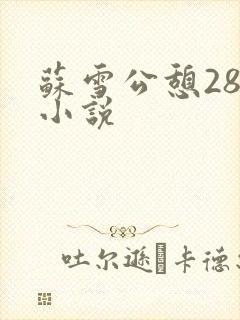苏雪公憩28篇小说