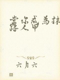 当你成为抹布文路人甲封面