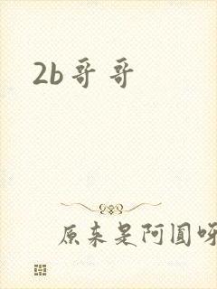 2b哥哥