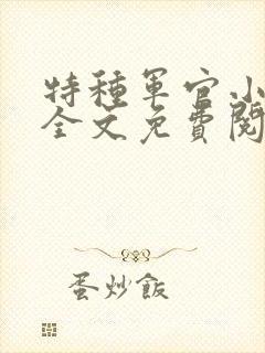 特种军官小小妻全文免费阅读封面