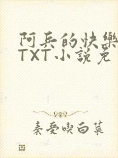 阿兵的快乐生活TXT小说免费阅读全章封面