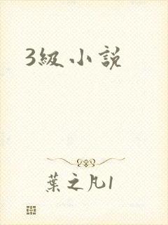 3级小说封面