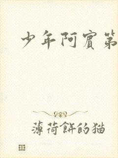 少年阿宾第二部