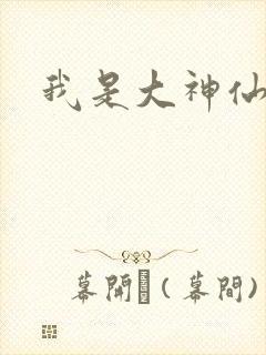 我是大神仙小说