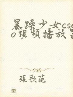 暴躁少女csgo视频播放器推荐