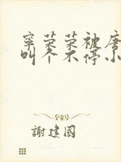 宁荣荣被唐三桶叫个不停小说