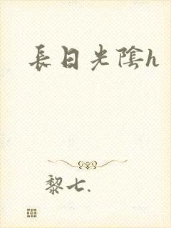 长日光阴h封面