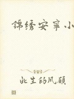 锦绣安宁小说封面