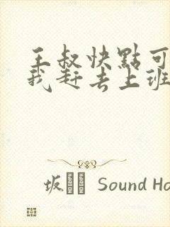 王叔快点可以吗我赶去上班封面