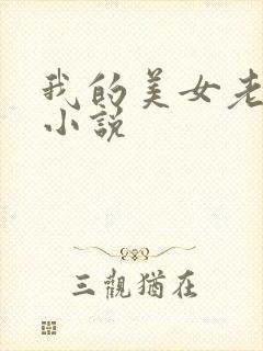 我的美女老板 小说