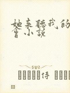 她来听我的演唱会小说