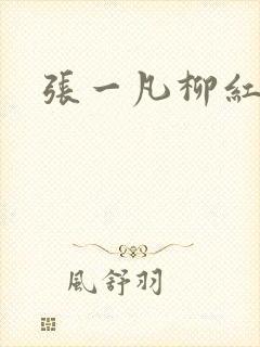 张一凡柳红封面