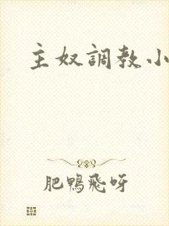 主奴调教小说