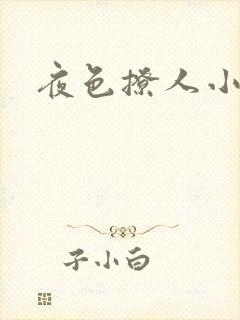 夜色撩人小说