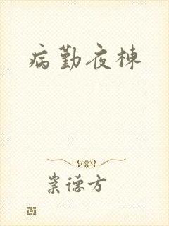 病勤夜栋