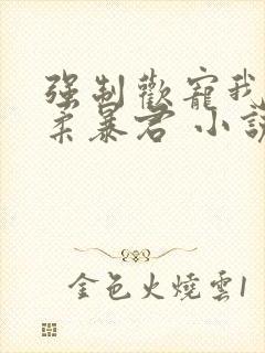 强制欢宠我的温柔暴君 小说