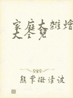 家庭大杂烩小说大全儿