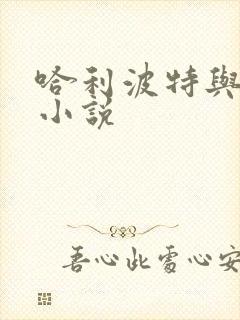 哈利波特与密室小说