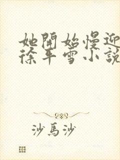 她开始慢迎迎合徐平雪小说封面