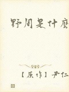 野周是什么意思