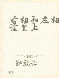 右相和左相一起淦皇上