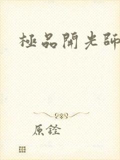 极品开光师封面