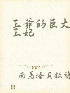 王爷的巨大进入王妃