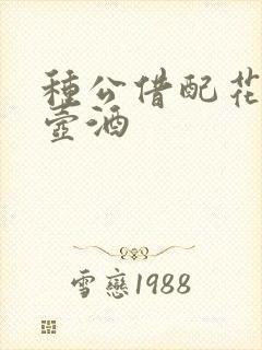 种公借配花间一壶酒