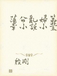 荡公乱妇第51章小说小莹
