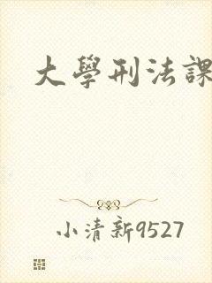 大学刑法课封面