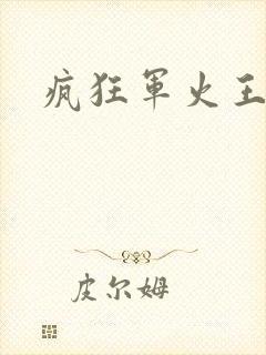 疯狂军火王封面