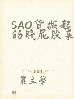 SAO货撅起你的贱屁股来