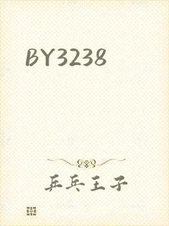 BY3238封面