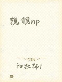 觊觎np
